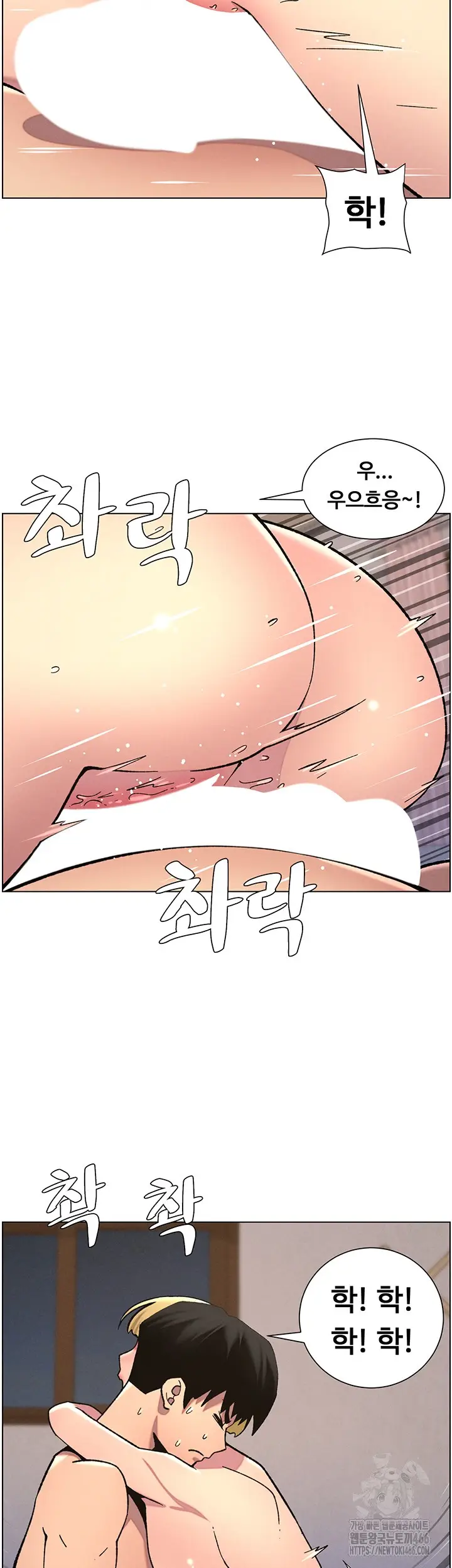 43