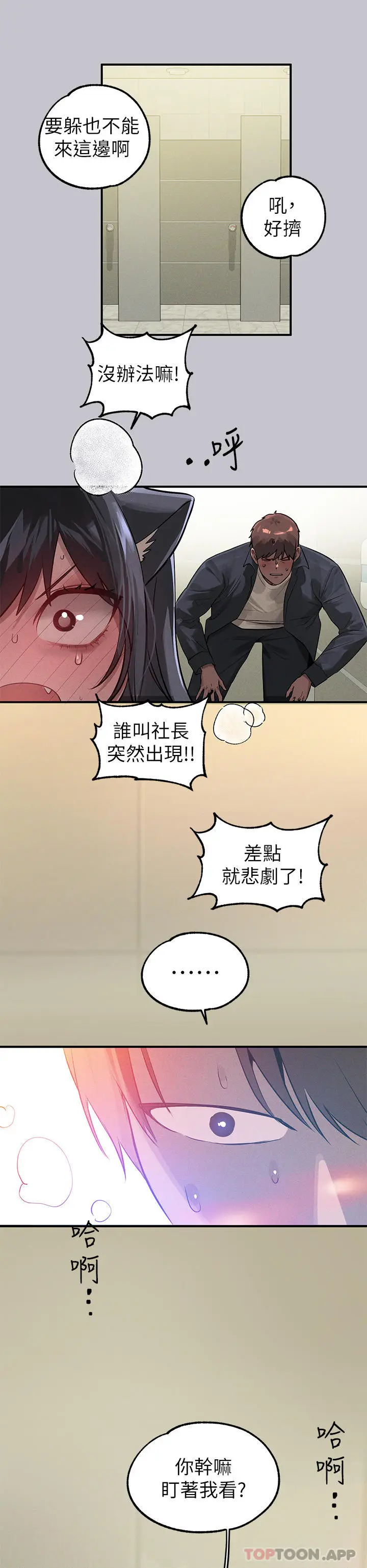 41