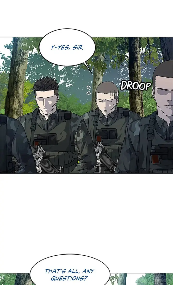 66