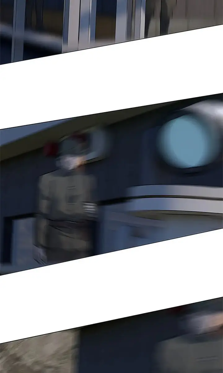 81