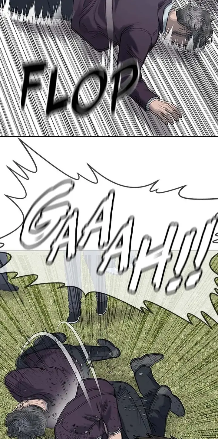 66