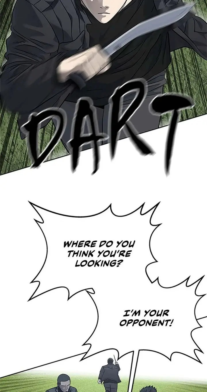 66