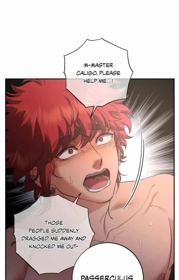 49