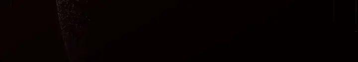 113