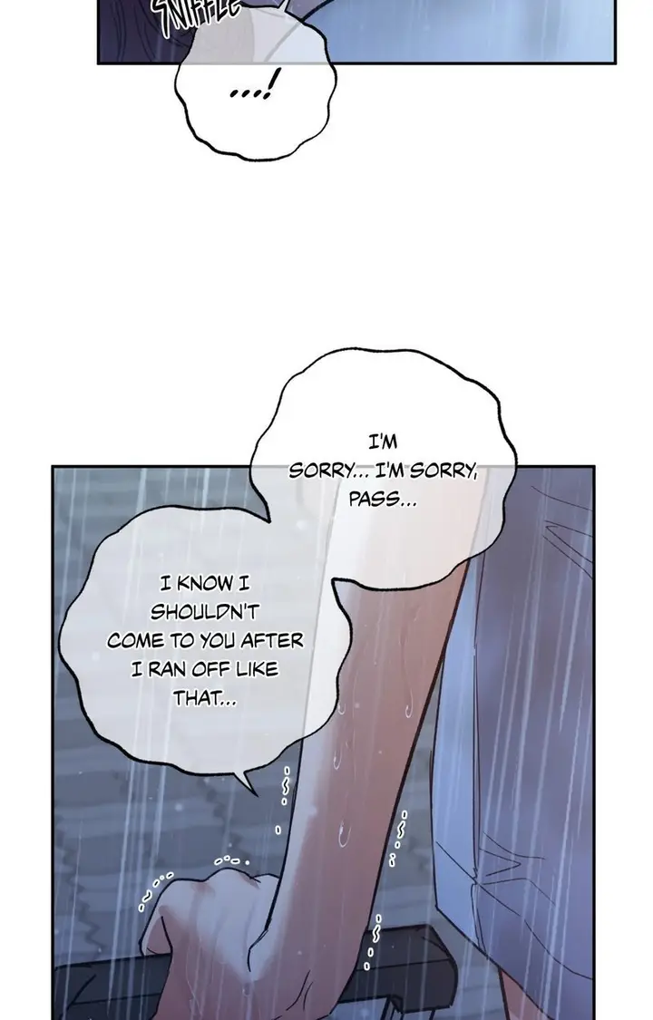 81