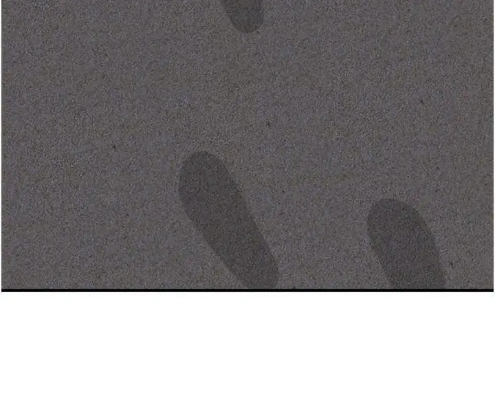 81