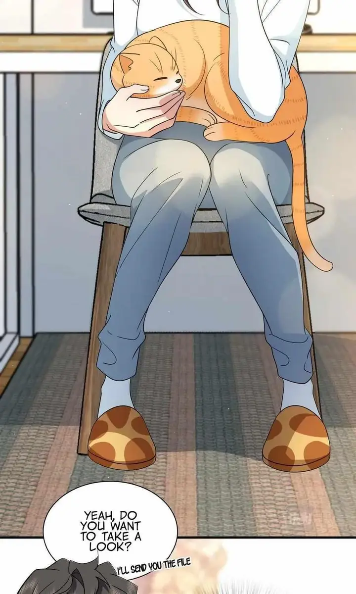 43