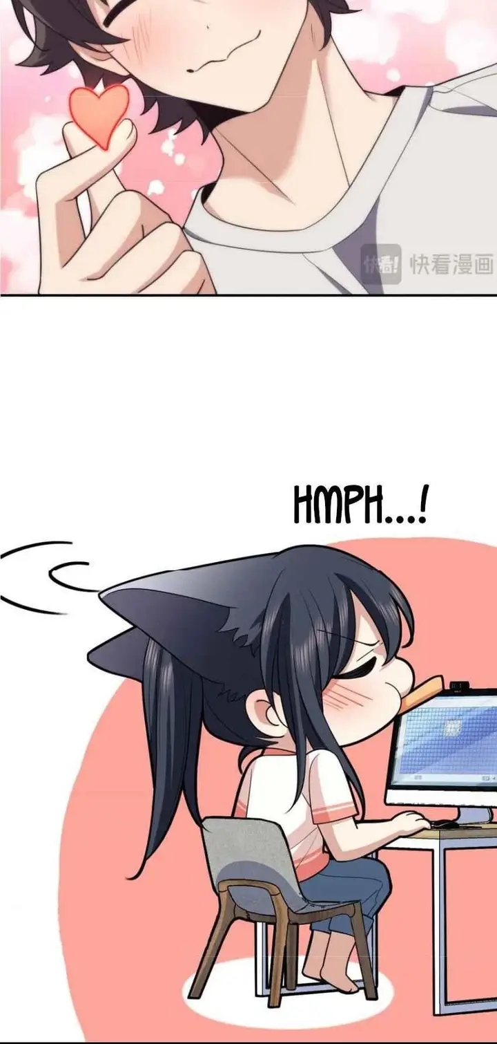 41