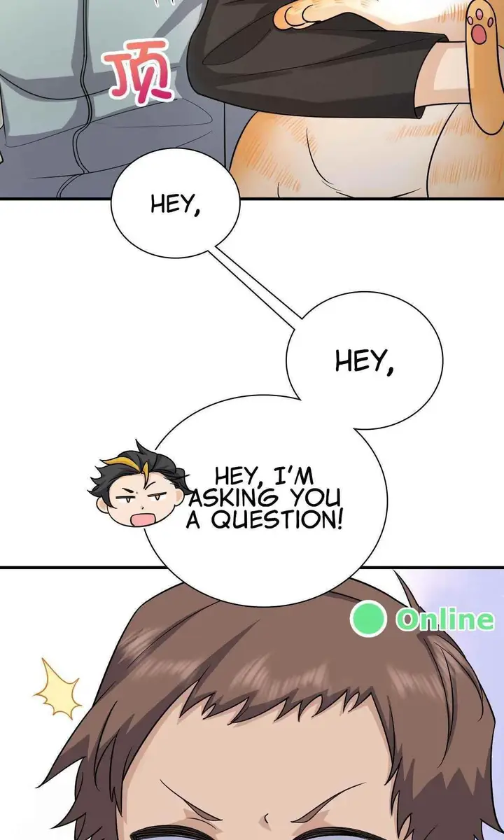 41