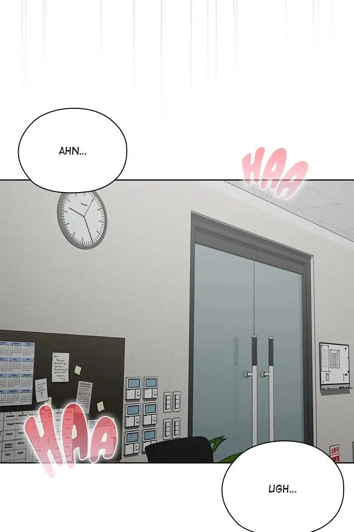 81
