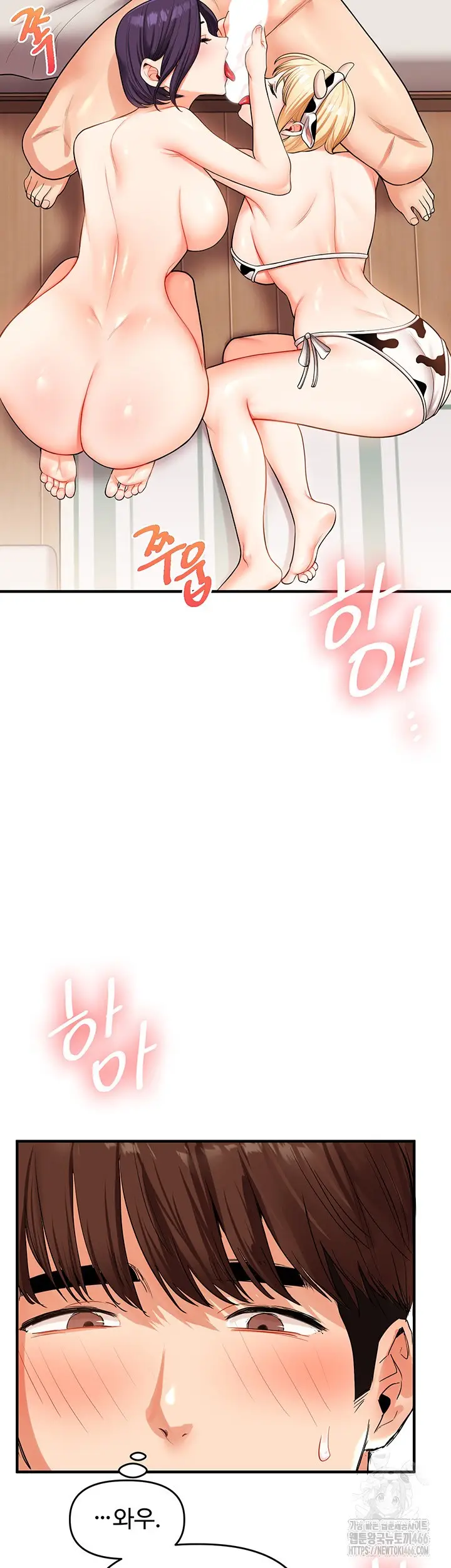 41