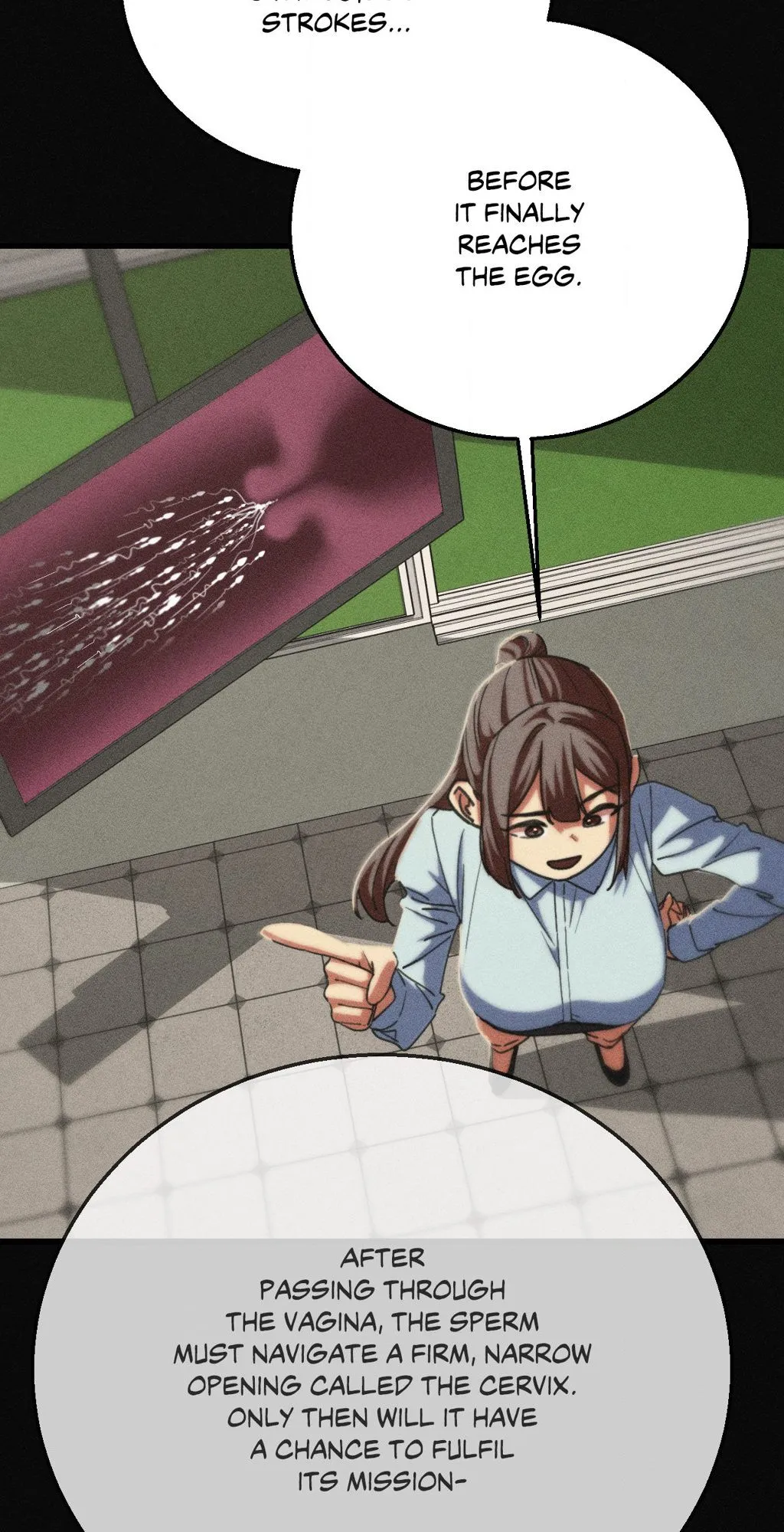 26