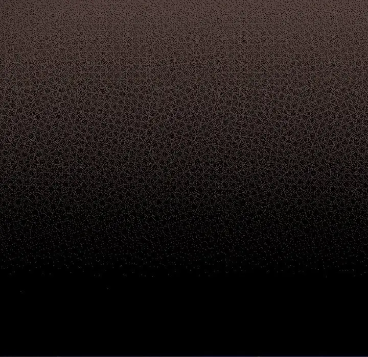 61