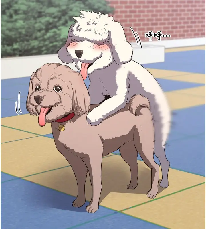 36