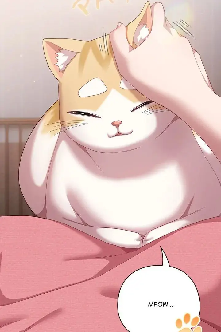 127