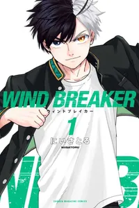 wind breaker esp